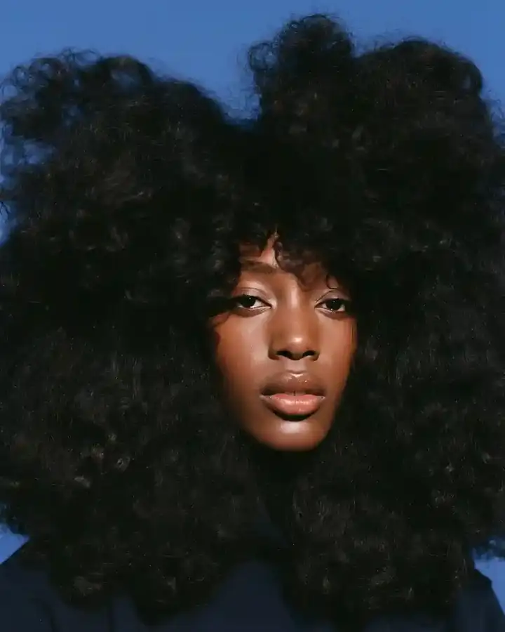 Wide dark afro backlit against a blue backdrop