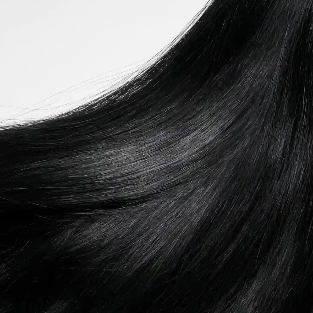 Jet black hair swatch, macro