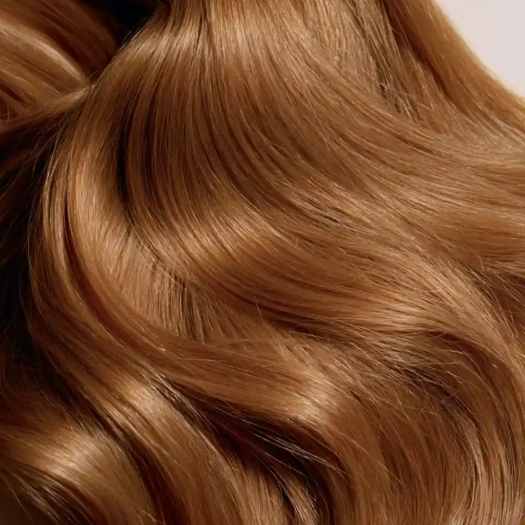 Honey blonde hair swatch, macro