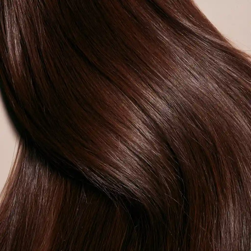 Chocolate brown hair swatch, macro