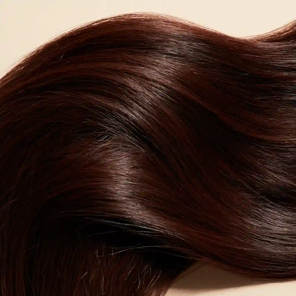 Chocolate brown hair swatch, macro