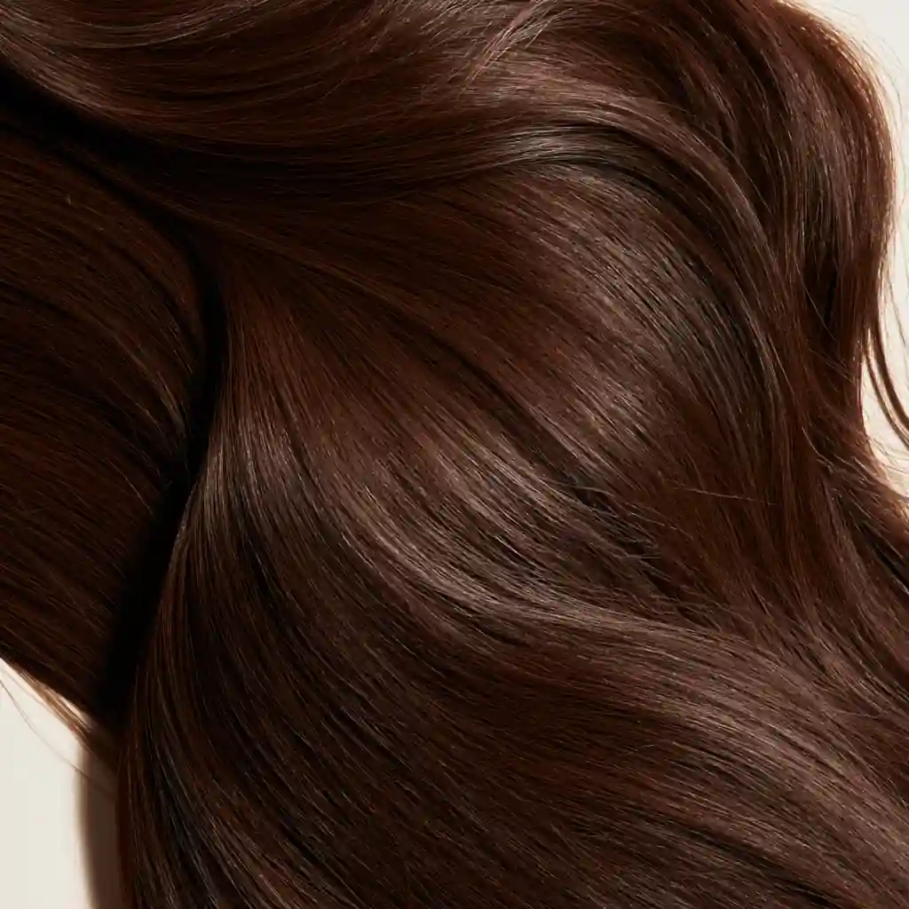 Chocolate brown hair swatch, macro