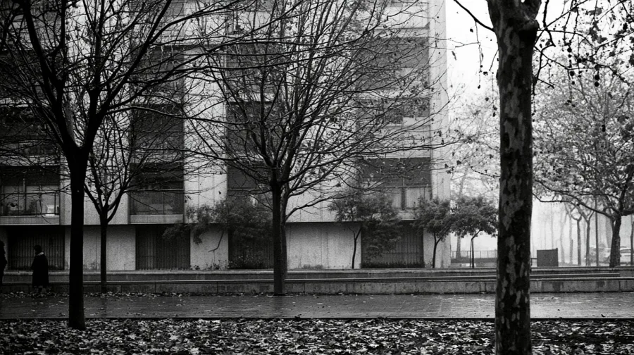 Residential apartment block behind bare autumn trees, leaves on the pavement